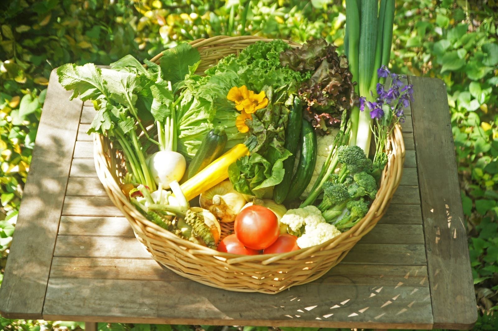 茨城・大子、咲くカフェのGuest Room White