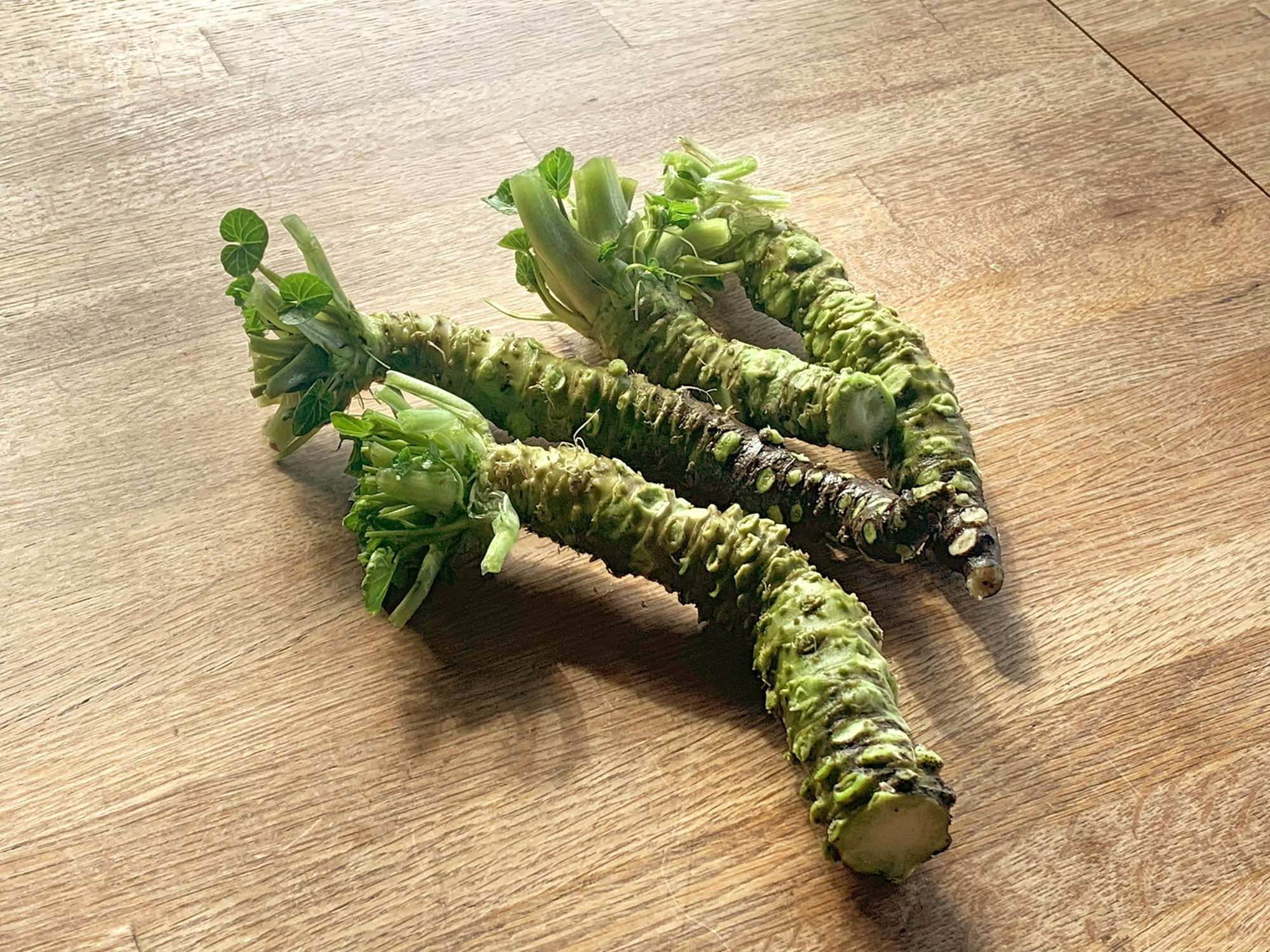 茨城・大子、咲くカフェの朝ご飯