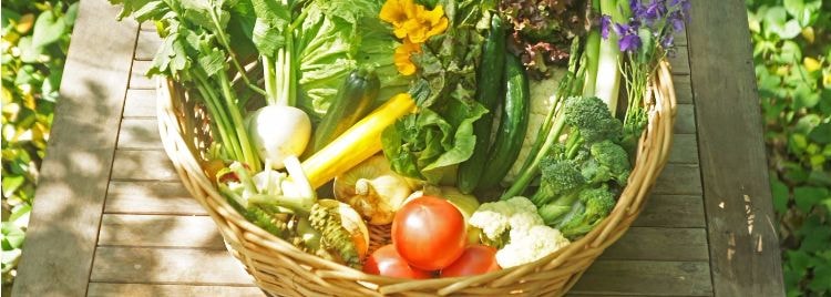 咲くカフェ大子野菜 茨城・大子 ゲストハウス